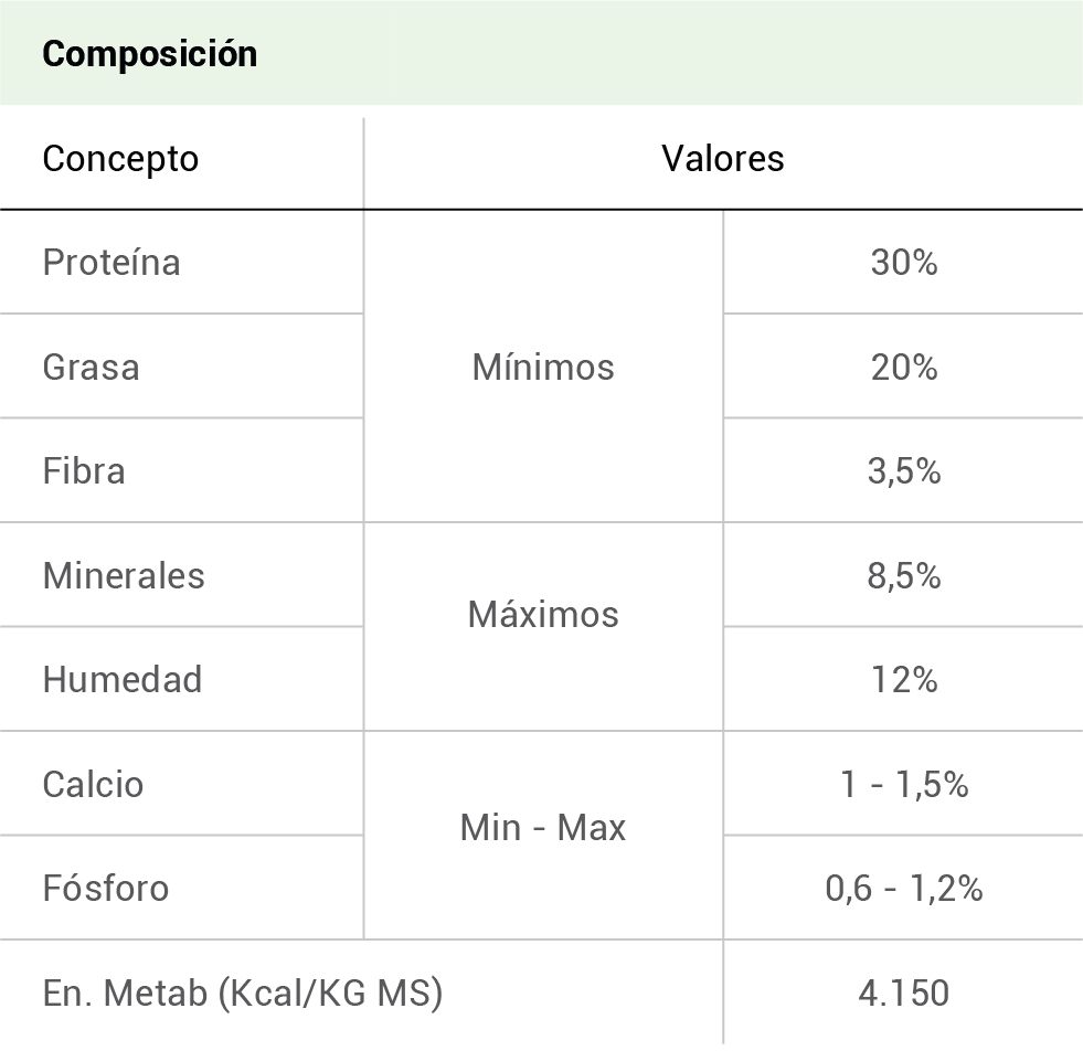 composicion